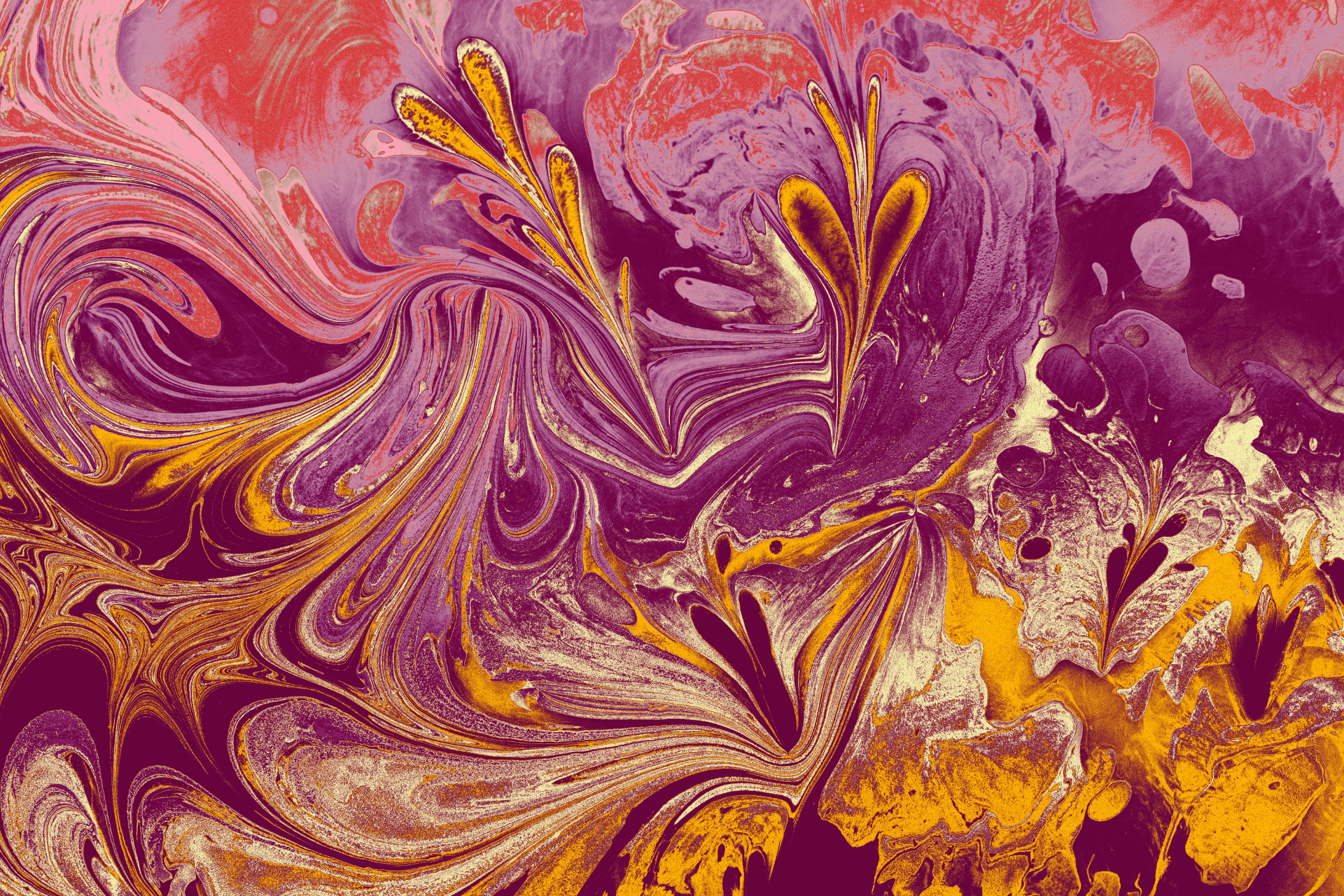 Mastering Fluid Design: Email Marketing Tips for the Modern Reader ...